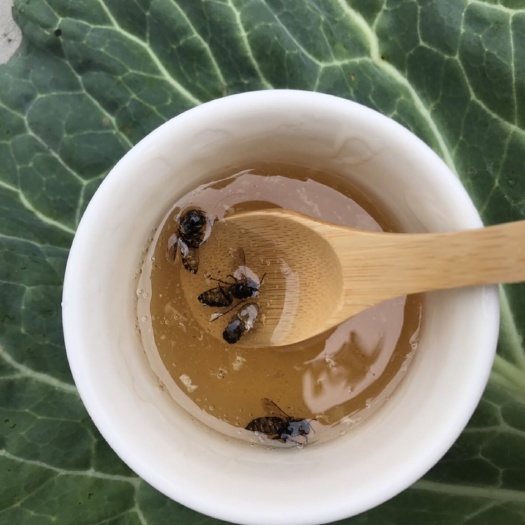 成都 成熟蜜，农家天然土蜂蜜，菜花蜜，浓度高，假一赔十