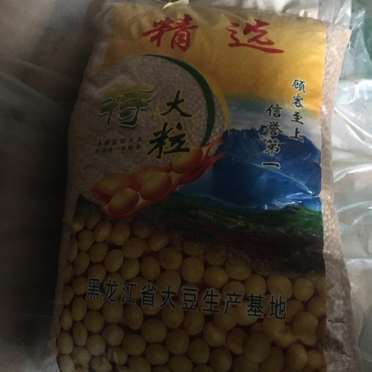 邳州市黄大豆  东北高蛋白大颗粒豆