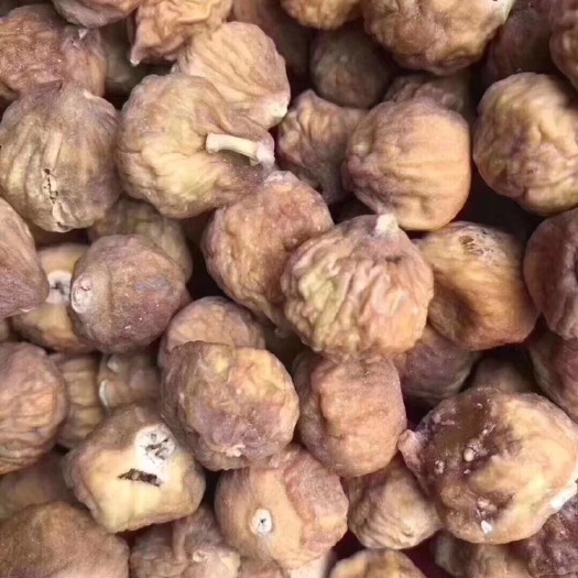 广州无花果干  无花果