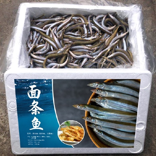 青岛沙里钻鱼 银鱼、小银鱼、沙里钻、面条鱼
