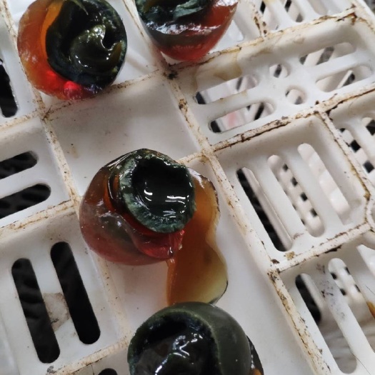 安新县松花皮蛋  无铅松花蛋，精品松花蛋