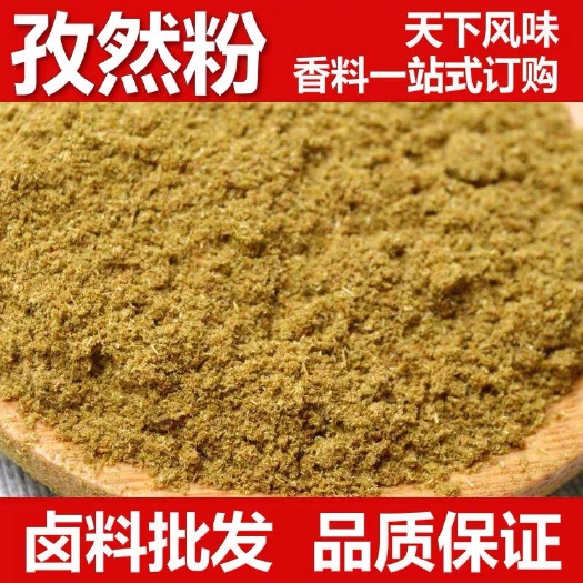 武汉烧烤撒料 孜然粉500g新疆火焰山特产撒料烧烤羊肉串烤肉调料烧羊肉包邮
