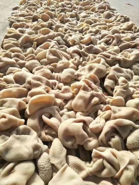 中牟县全熟羊肚 5斤一包