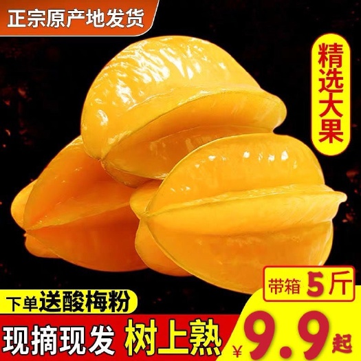 南靖县 福建漳州甜杨桃5斤水果当季杨桃新鲜现摘现发