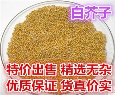 安国市新货，白芥子，干净无杂！！批发零售！！包邮到家！
