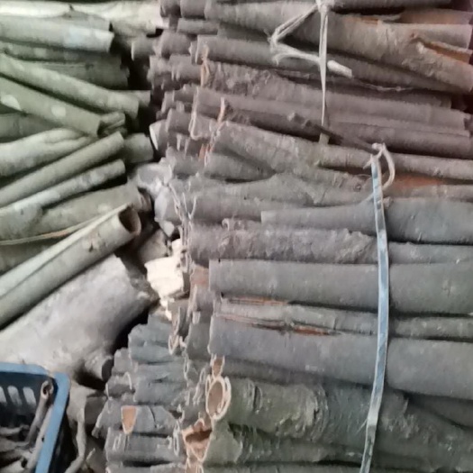 南宁 干水桂皮批发