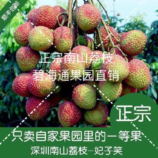 深圳 正宗南山妃子笑荔枝 基地直供大量供应 欢迎预定洽谈