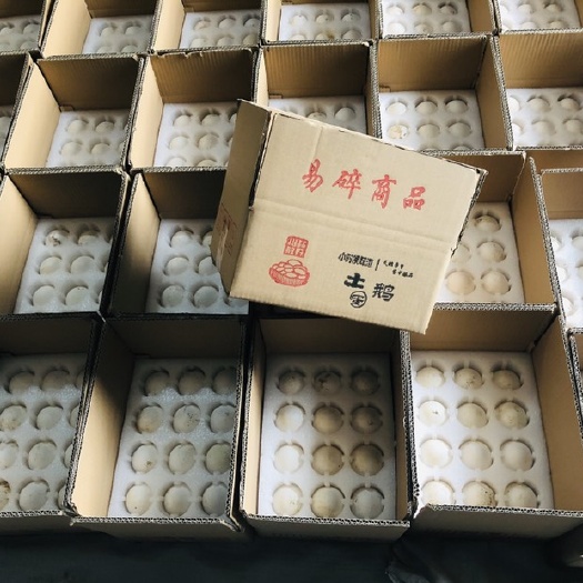 鄄城县 树林散养鹅蛋150克左右
