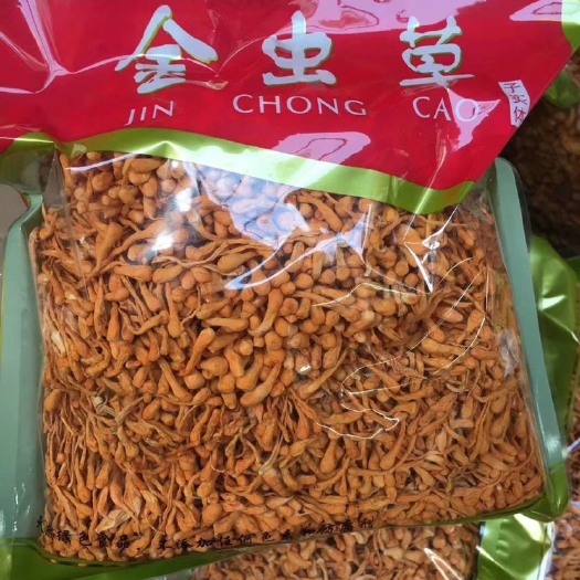 安国市正品  天然！实拍图！金虫草花！！批发零售！量大优惠！煲