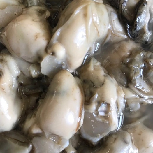 连云港鲜活现剥乳山原浆生蚝肉，去壳海蛎肉牡蛎肉，产地直供