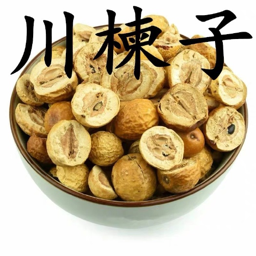川楝子 正品货！！！无硫！干净无杂！货！！批发零售！包