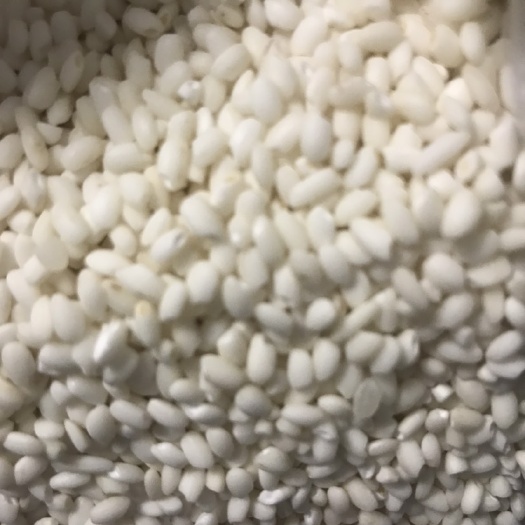 深圳 东北糯米