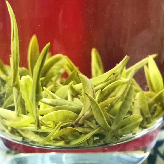 杭州 绿茶