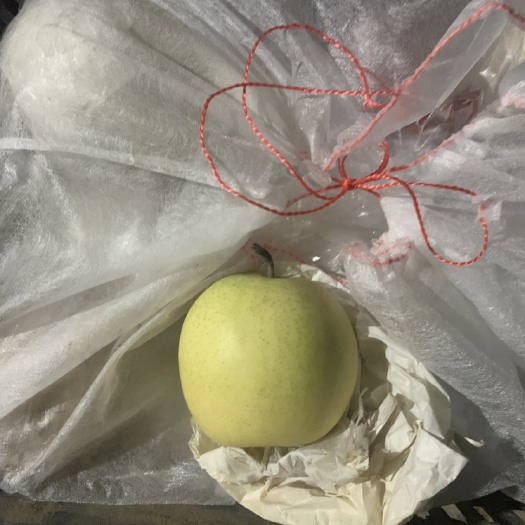 辛集市 河北辛集白蜡纸袋皮皇冠梨 半斤以上