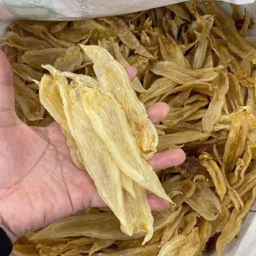 广州 鱼胶 花胶 原装清水双背胶足干70头