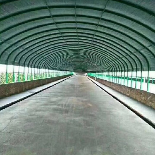沭阳县钢管大棚
