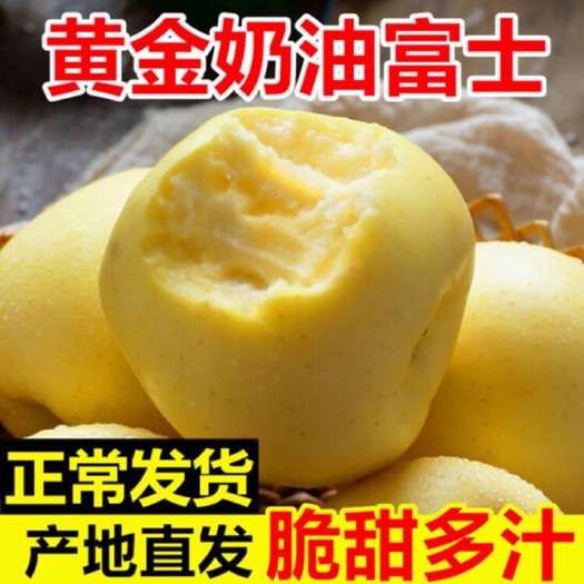 济宁山东黄金奶油富士苹果 脆甜可口香甜多汁非红富士 5斤新鲜水果
