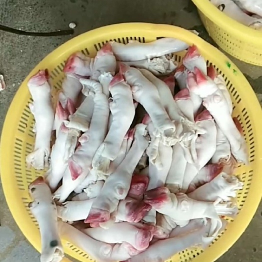 阳信县羊蹄