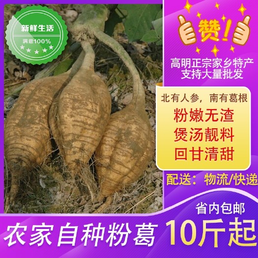 佛山 家乡特产现挖粉葛葛根10斤起售品质保证支持大量批发欢迎选购