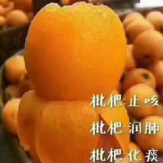 平和县 顺丰包邮好吃枇杷一件代发5斤49.9