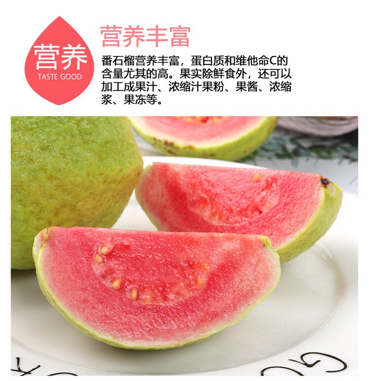 福建漳州软心红芭乐当季水果番石榴当季潘蕃新鲜软糯土巴乐红心
