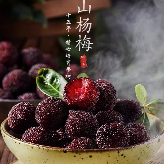 昆明 杨梅当季