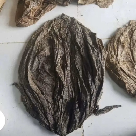 毛肚 巴基斯坦盐干牛肚牛百叶（香港和越南海防港接货）成都接货另算