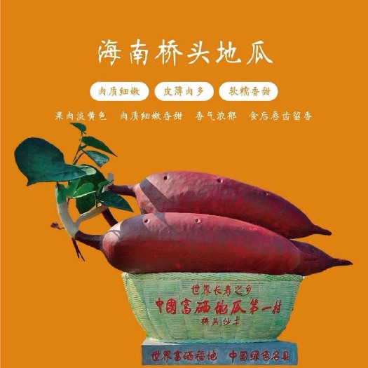 澄迈县桥头地瓜 红皮 圆果
