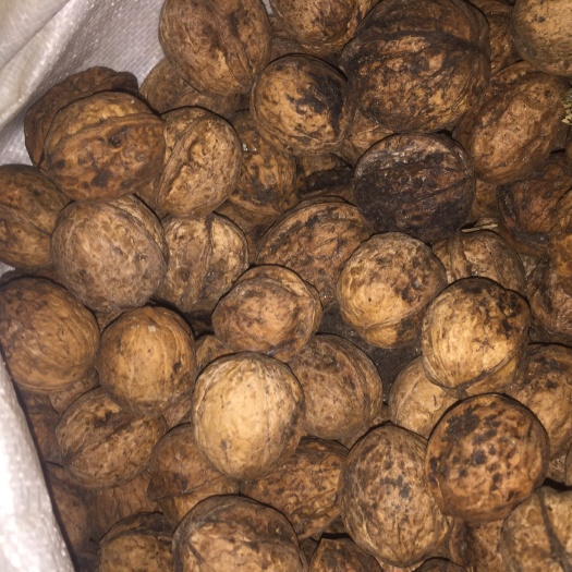 天水 白硒鲍皮靑香核桃