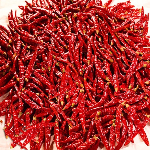 佛山小米椒干辣椒   超辣农家干辣椒小米辣批发魔鬼椒特辣微辣辣椒段辣椒面辣椒粉