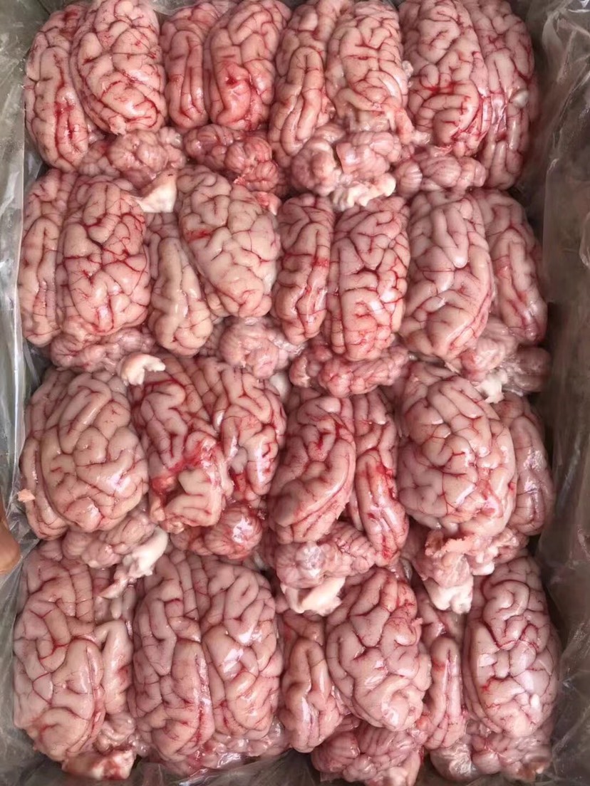 猪脑花，屠宰场直销￼，国产精品级货