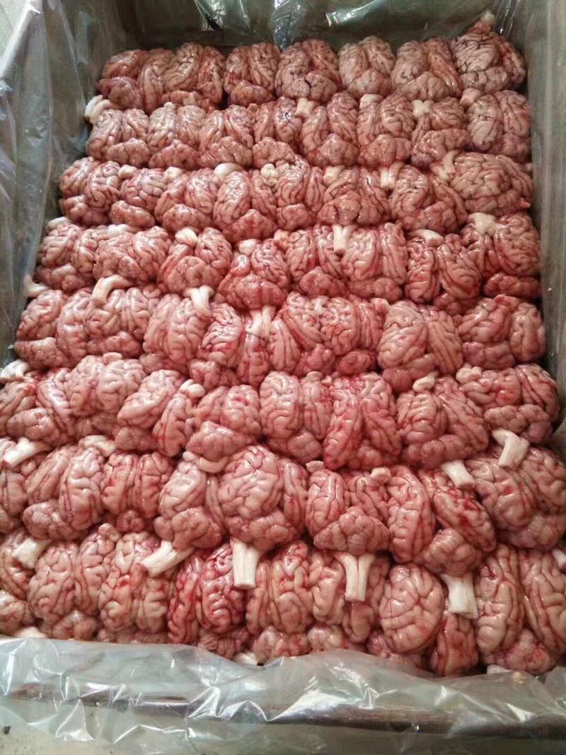 猪脑花，屠宰场直销￼，国产精品级货