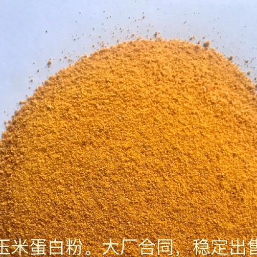 正定县玉米蛋白粉 玉米蛋白