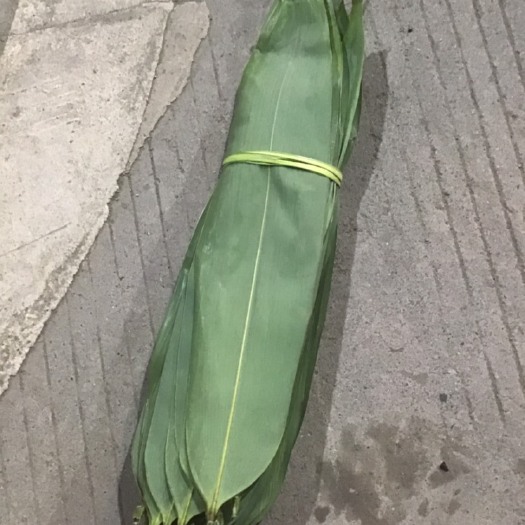 工厂直发烘干粽叶！标准化生产 质检合格 箬叶，粽叶，精品粽叶