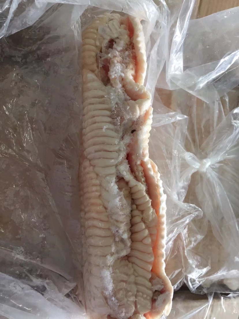 猪脑花，屠宰场直销￼，国产精品级货