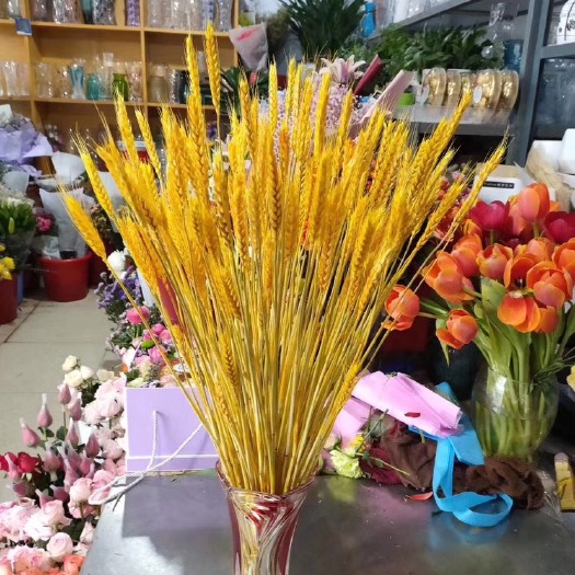 绵竹市 干花，大麦，