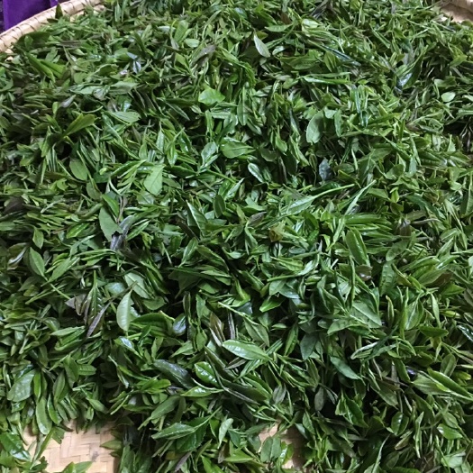太湖县香茗 恒温长期保存