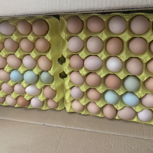 揭阳土鸡蛋 精品绿草蛋