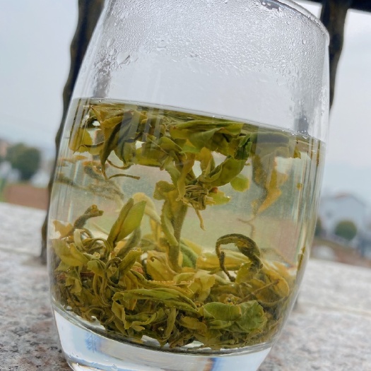 嵊州市毛尖茶  茶叶2021新茶现货明前茶手工茶250g高山春茶绿茶浓香