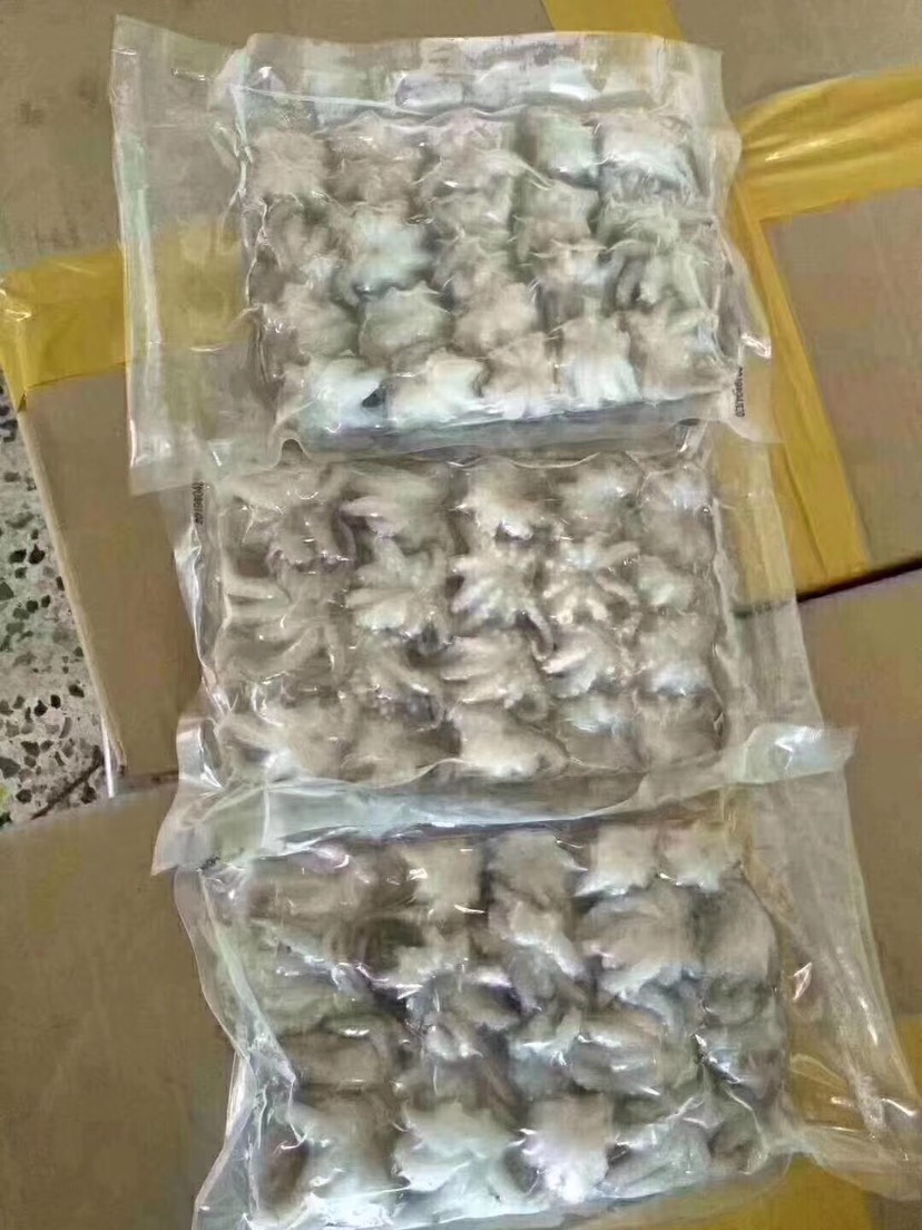 饒平縣活凍新鮮小章魚400克一包小章魚花
