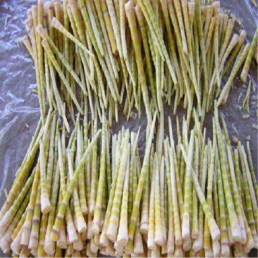 彝良县罗汉笋 笋干