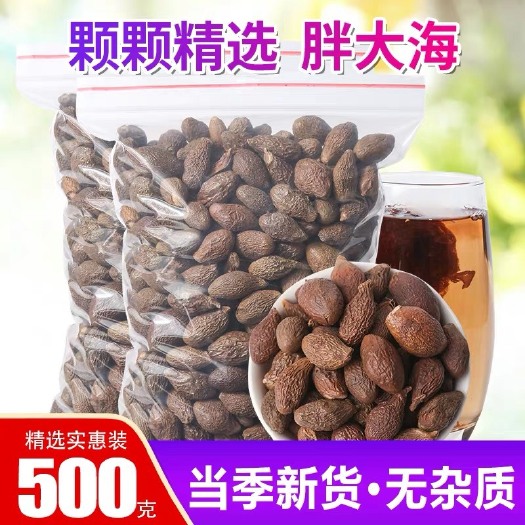 安国市正品！新货胖大海！泡水，批发零售！包邮到家！无硫！