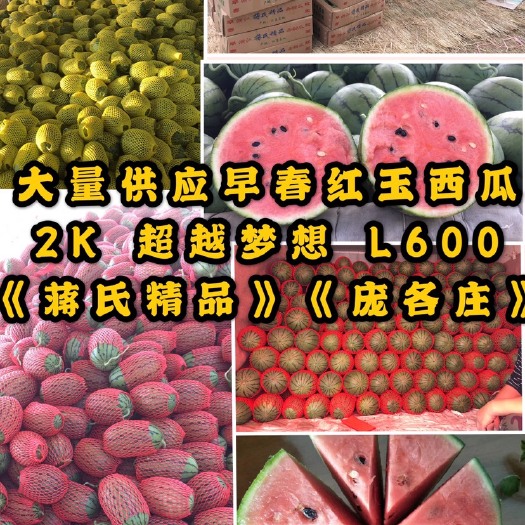 潍坊小糖丸西瓜大量供应，专业代收代发，供应各地批发市场、商超等