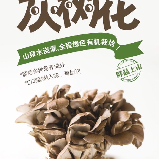 庆元县灰树花、栗蘑、舞茸、食用菌、鲜菇批发、产地直发、