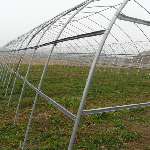 沭阳县 种植大棚