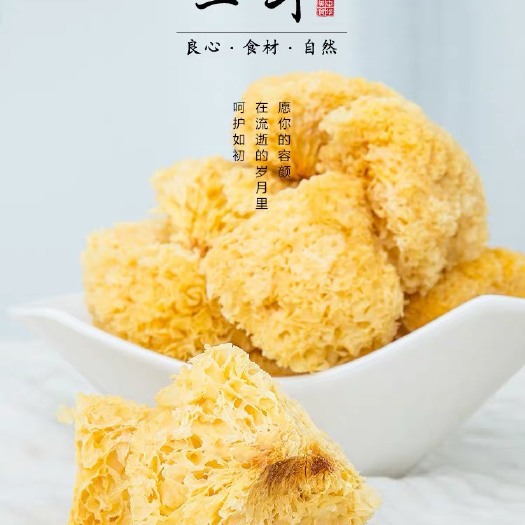 古田县古田银耳 干银耳 朵状银耳