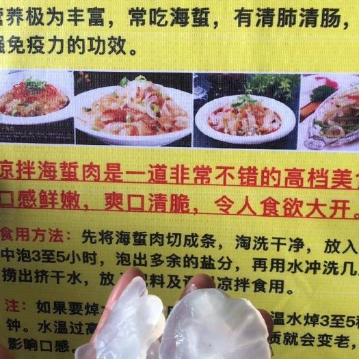 广州 海蜇￼