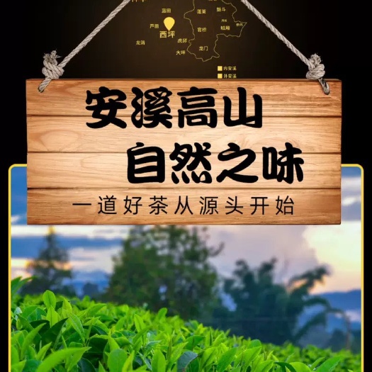 安溪县 新茶 安溪铁观音