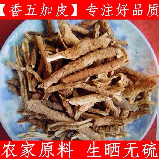 安国市香五加皮 另有，南五加皮，无硫新货！干净无杂，包邮到家