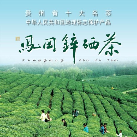 凤冈县凤冈锌硒茶 2020年明前新茶，凤岗锌硒茶